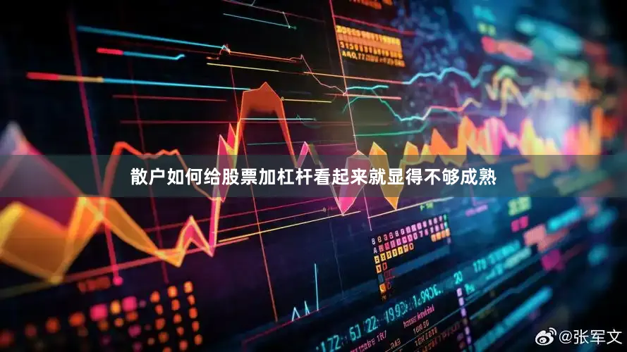 散户如何给股票加杠杆看起来就显得不够成熟