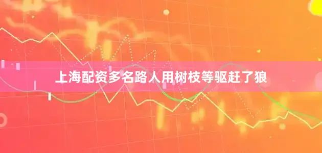 上海配资多名路人用树枝等驱赶了狼